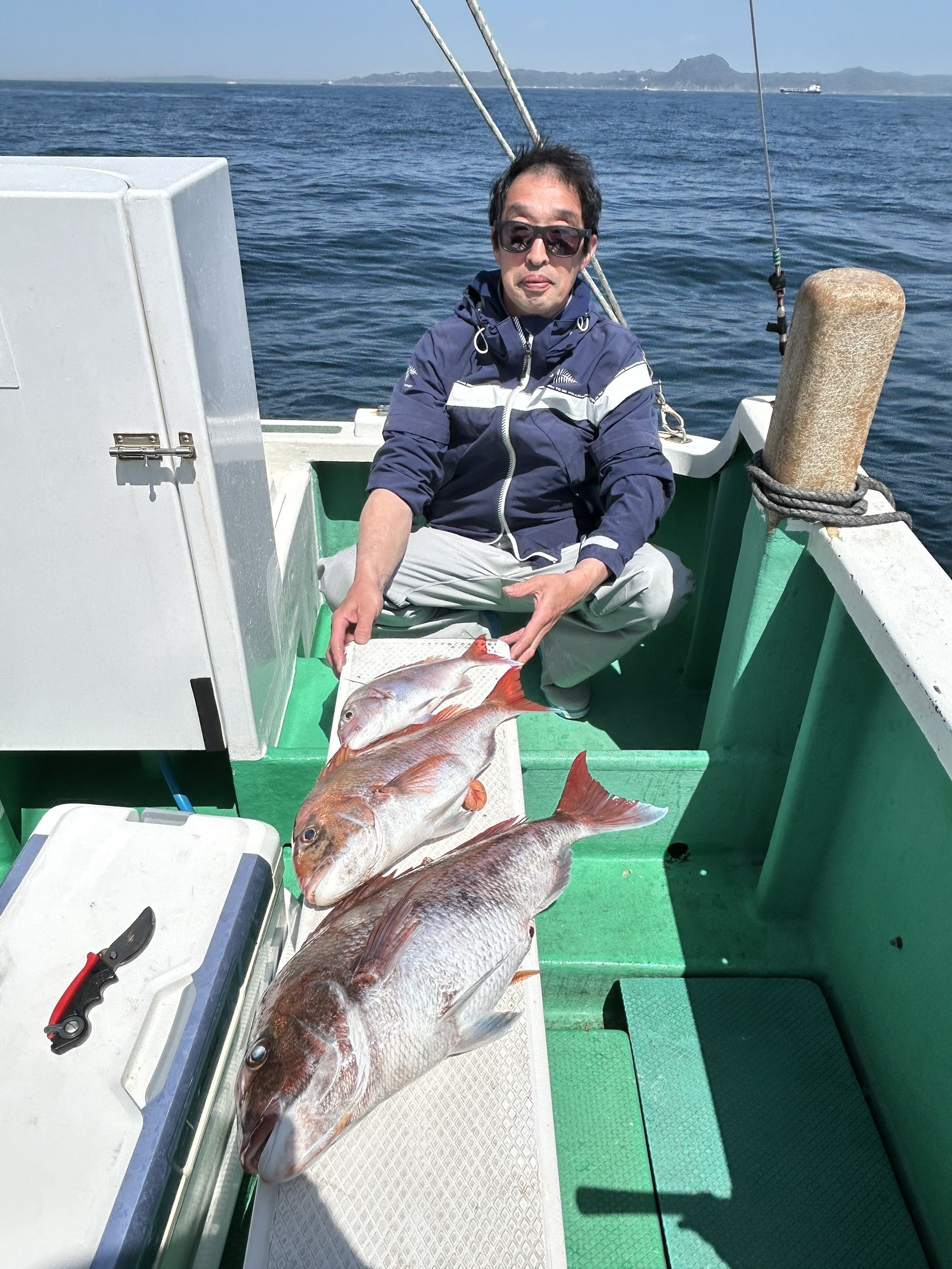 真鯛 トップ3匹‼️3.6kg