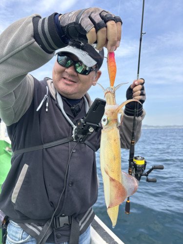 ティップラン マルイカのみ