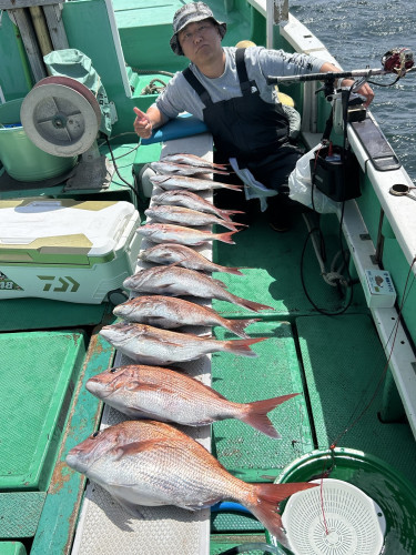 真鯛 トップ12匹‼️ボウズなし