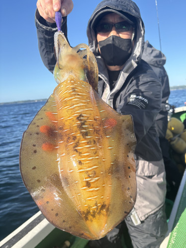 ティップラン トップ1杯‼️最大1.5kg