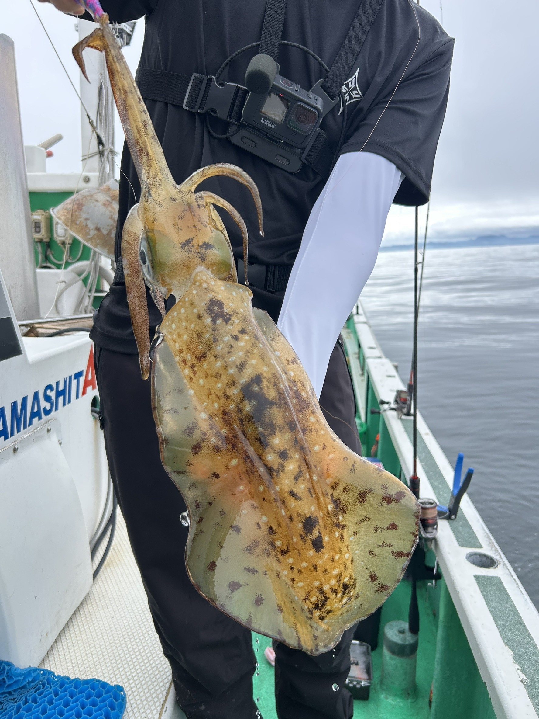 ティップラン トップ3杯‼️最大1.6kg