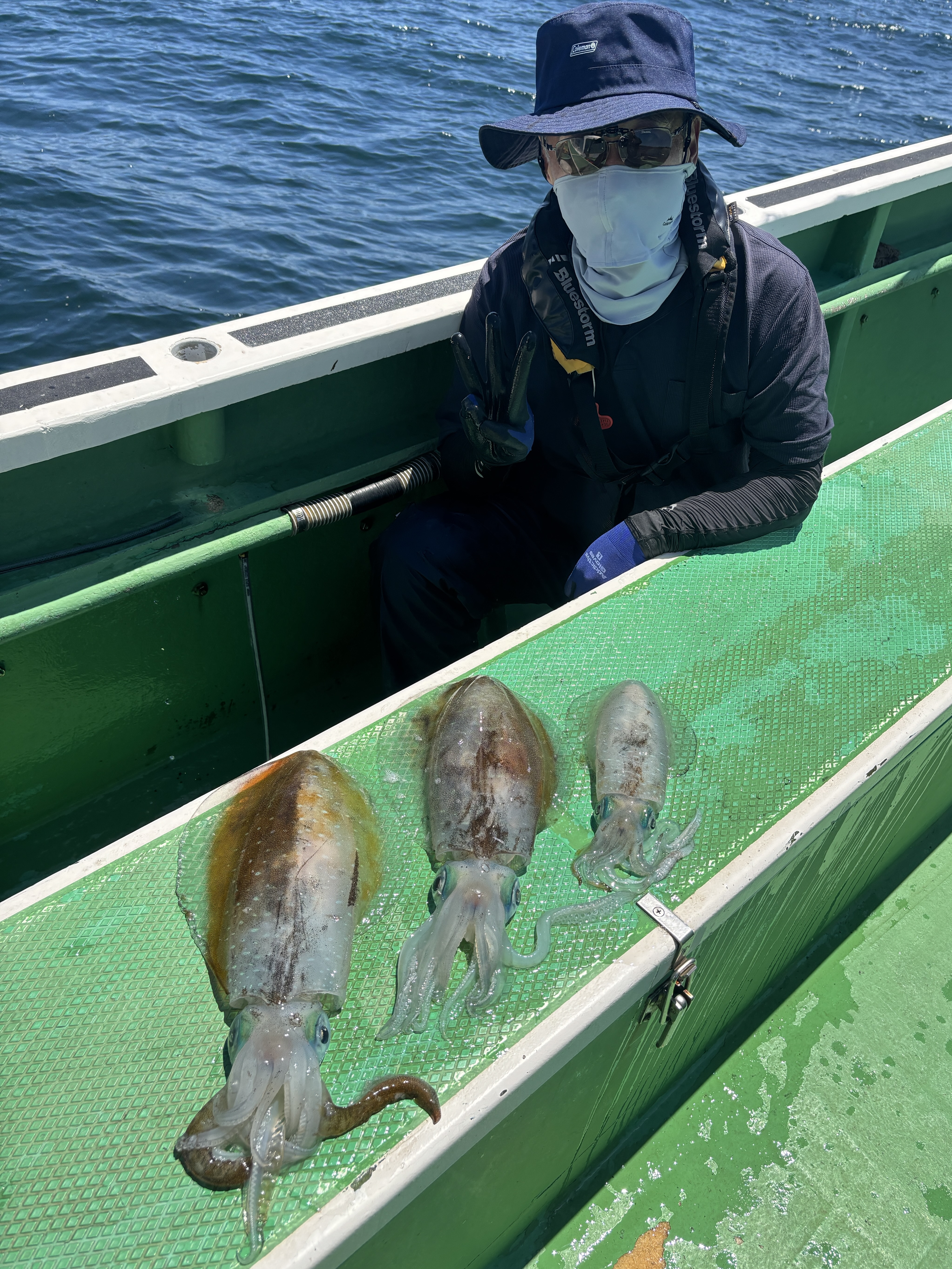 ティップラン トップ3杯‼️最大1.2kg
