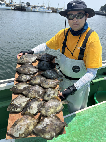 カワハギ トップ16枚‼️ボウズなし