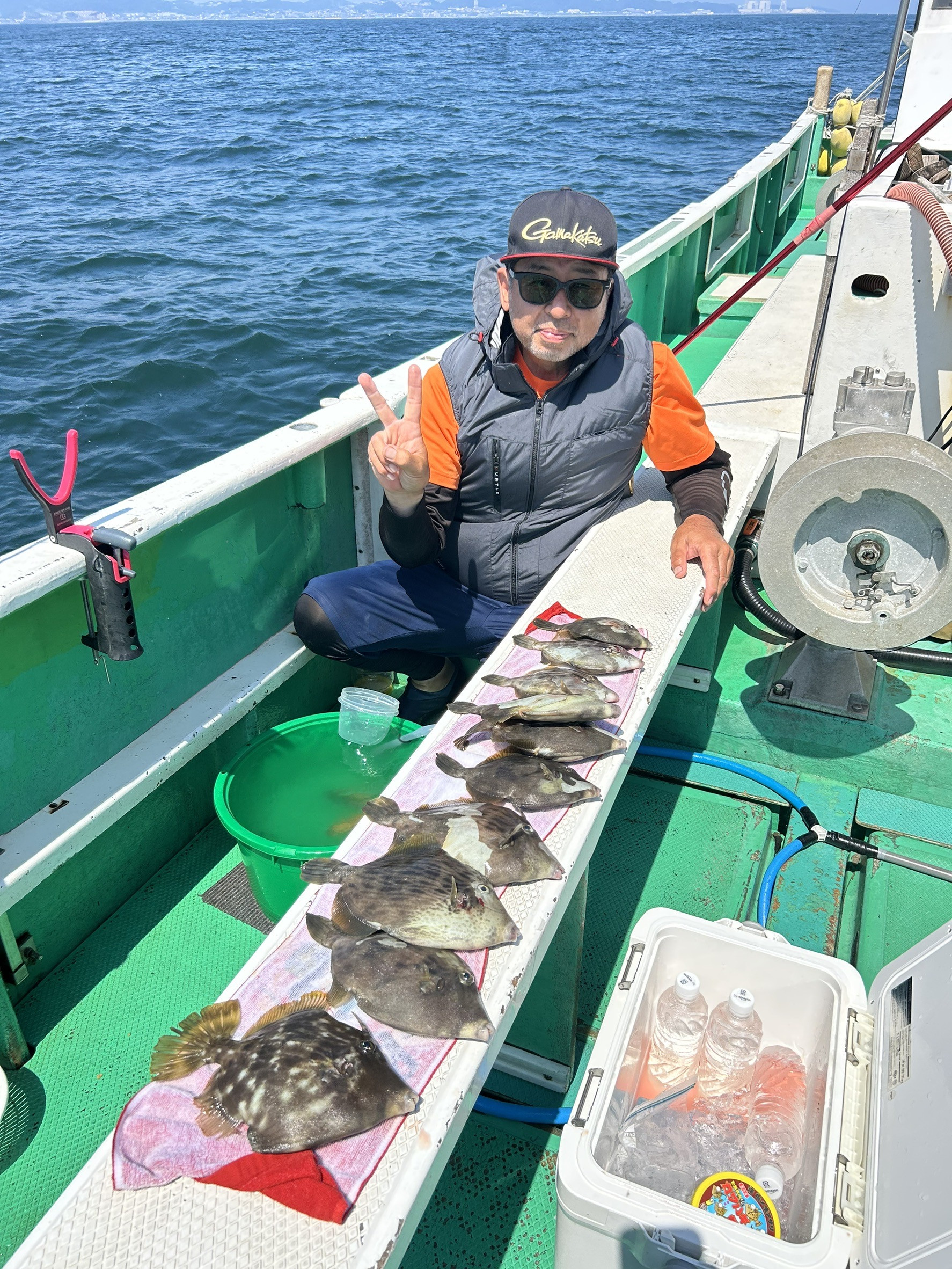 カワハギ トップ10枚‼️