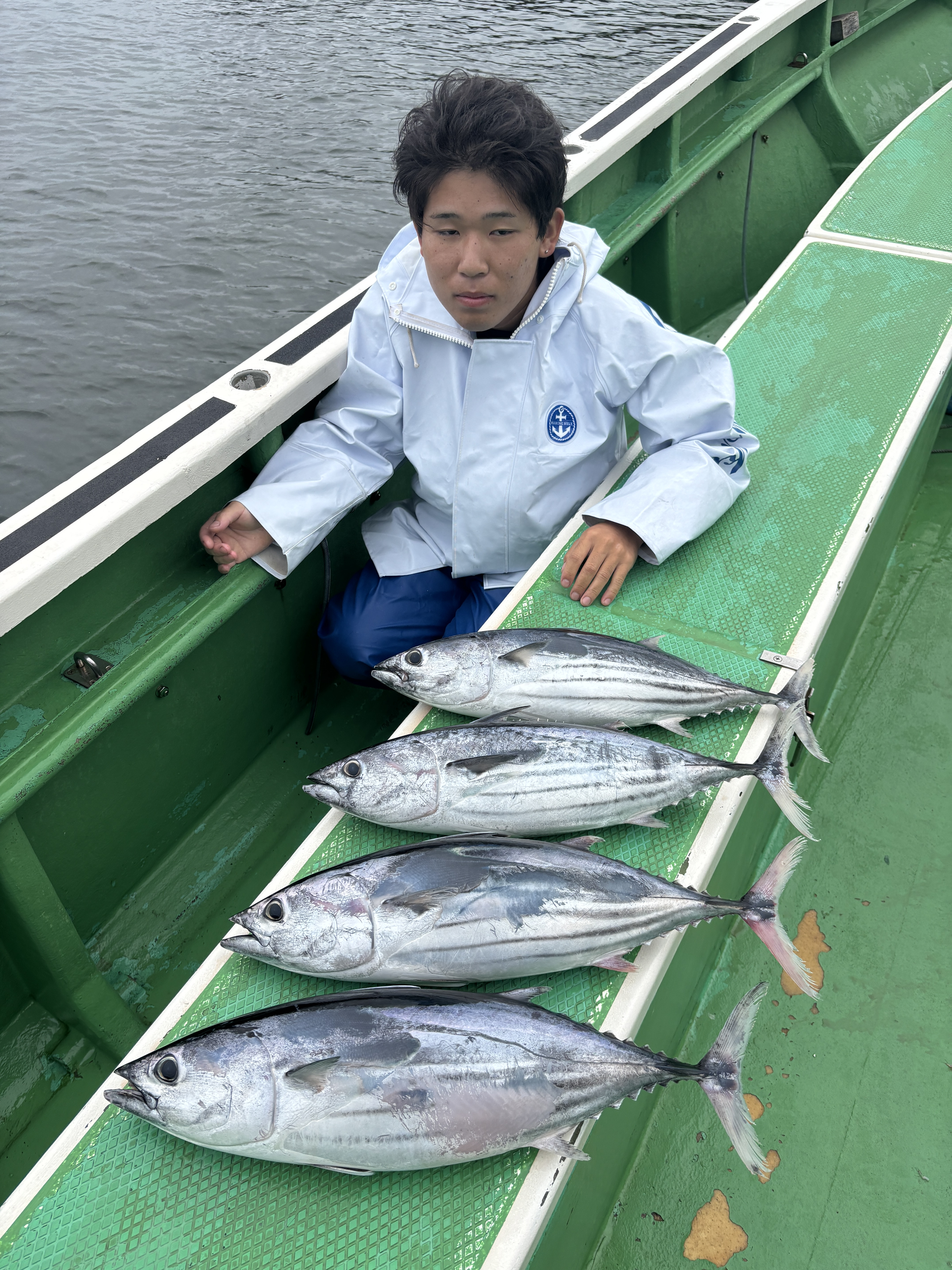 カツオ トップ4本‼️