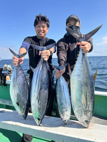 キハダ・カツオ キメジ1本カツオ3本‼️