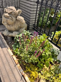 ５０歳から予防する認知症