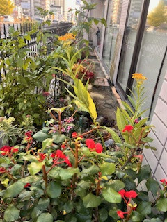 運動は食前より食後に