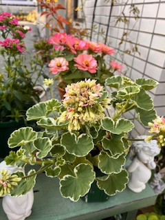 ストレスに強い人　弱い人