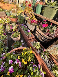 塩分制限だけでない高血圧予防の食事