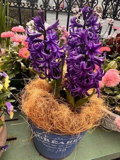 意外に食べているアイス