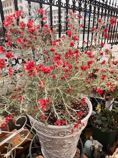 脂肪肝になりにくい食事　食べ方