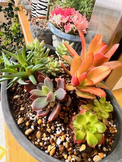 特定健診の重要さ