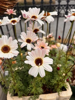 胃と腸を弱らせる6つの原因