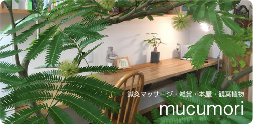 トップ_mucumori.png
