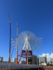 D184443D-15F4-4FD7-883E-93F2A5D20C25.jpeg