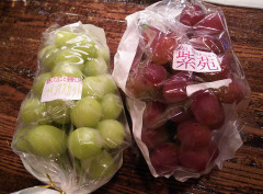 埼玉県秩父郡横瀬町産のシャインマスカットと冬のぶどう（紫苑）が入荷しております。（桜木町店）
