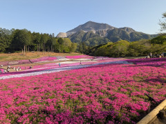 桜木町店 4月店休日と営業時間のお知らせ