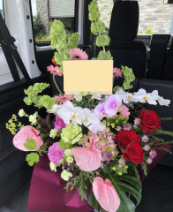5C6E7E70-D904-41C1-A467-34CC075AA78C.jpeg