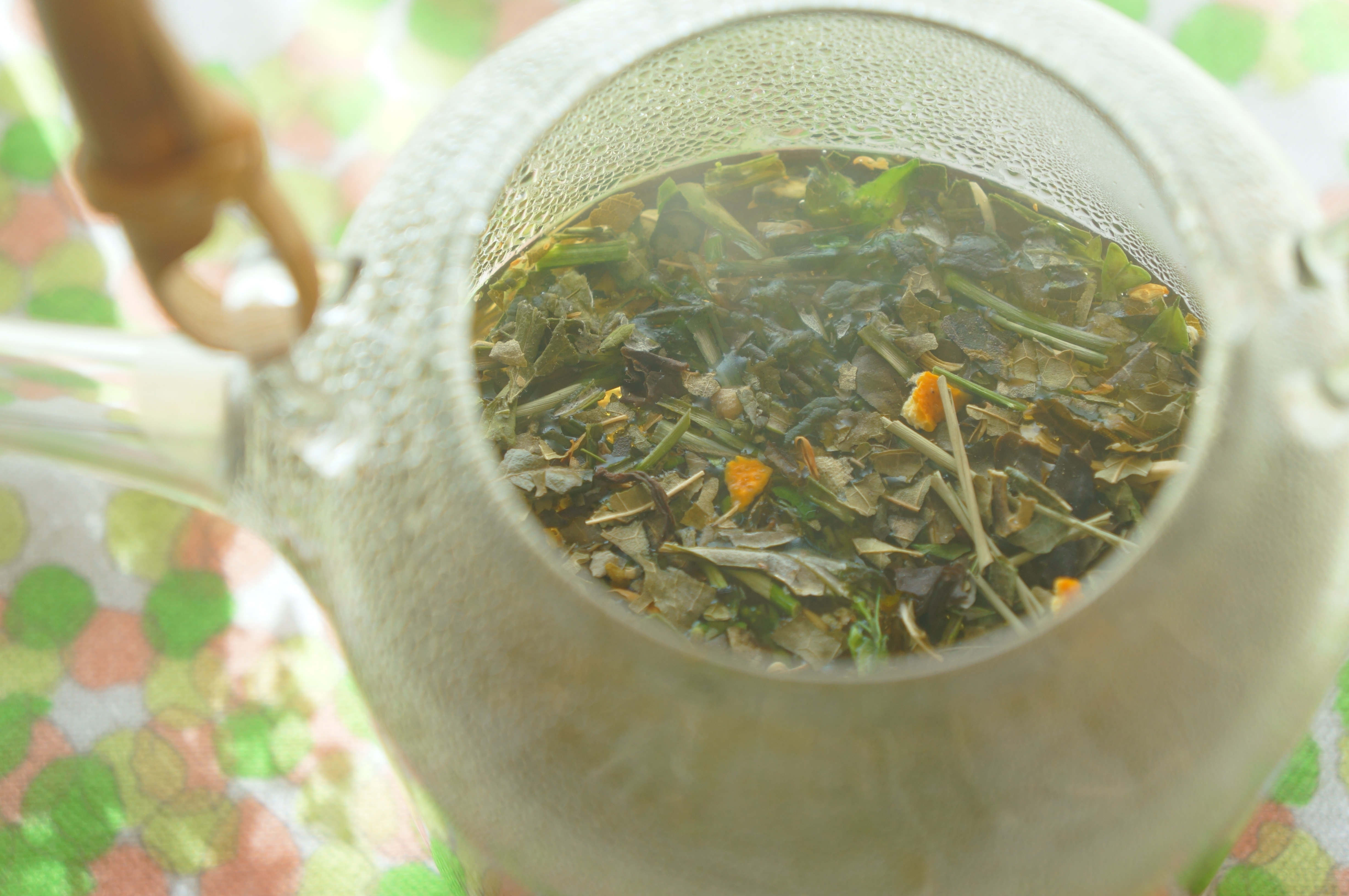 立春　SakuYogaTea　初春茶 『 萌 ｰ めぐみ ｰ 』　リリースです