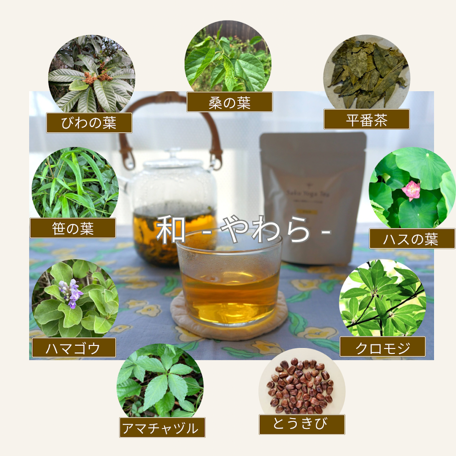 テキスト.png