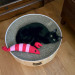 line_oa_chat_260607_114843.jpg