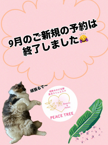 E0C53427-8EF0-45AE-BC49-3D3CC6564915.jpeg