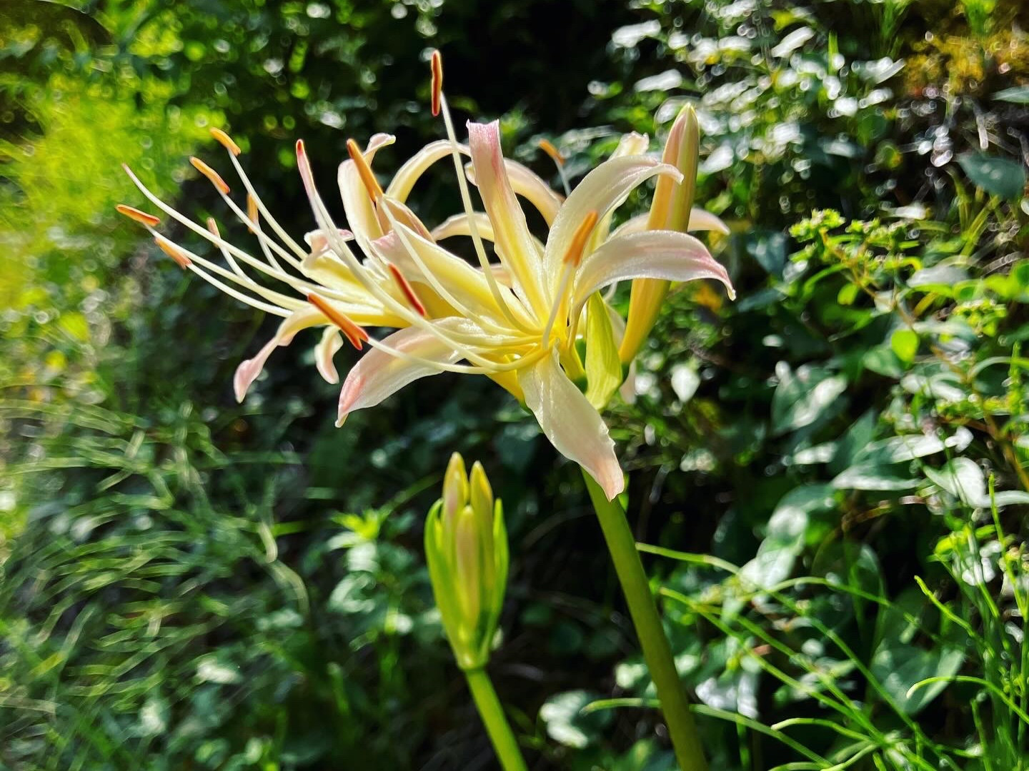 10月