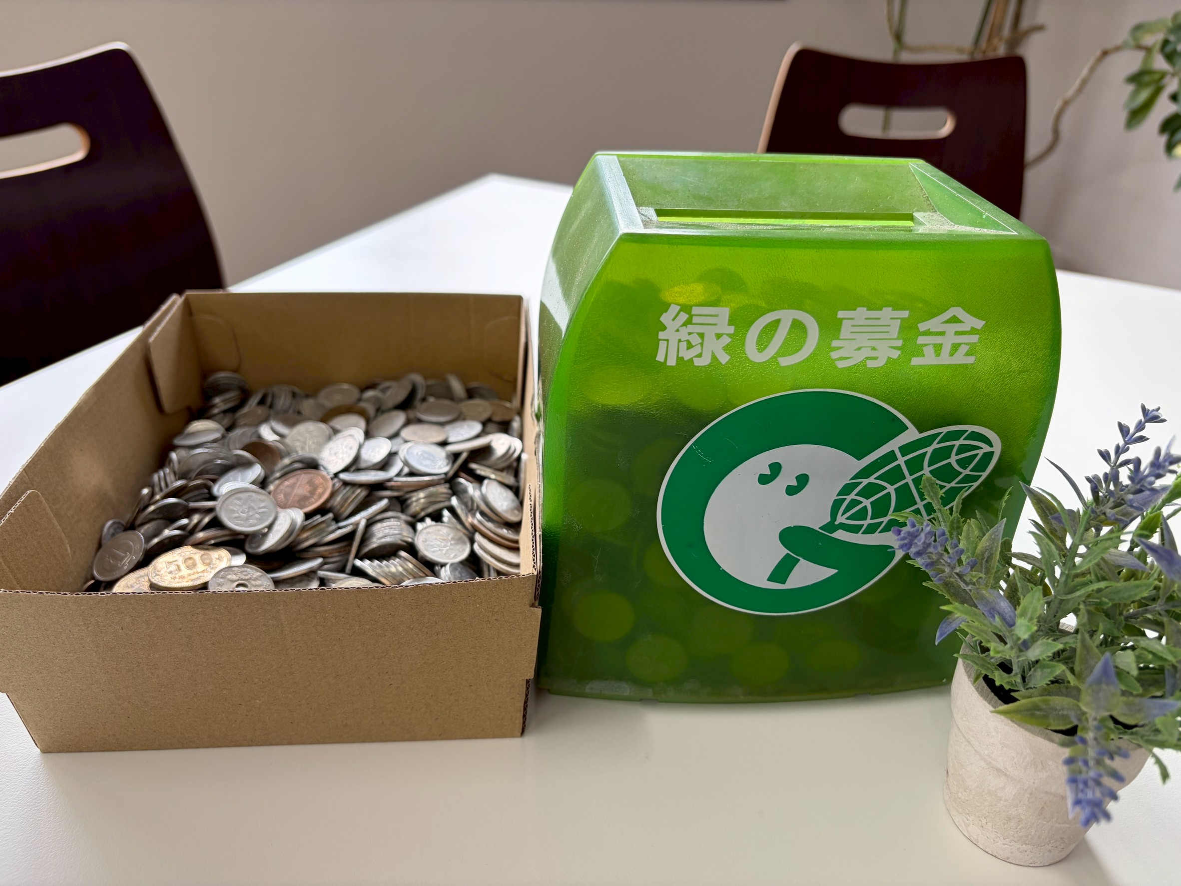 🌿【緑の募金へ寄付しました】🌿