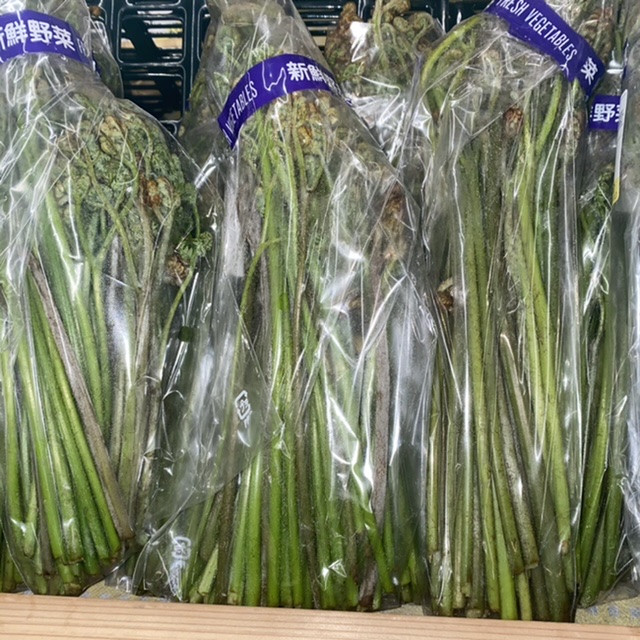 山菜続々入荷！