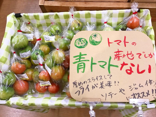 加工用トマト❕