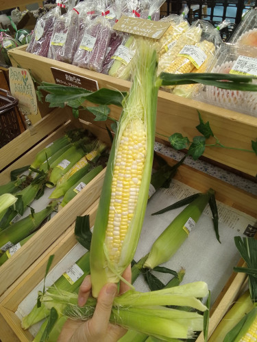 ✨🌽🫑✨