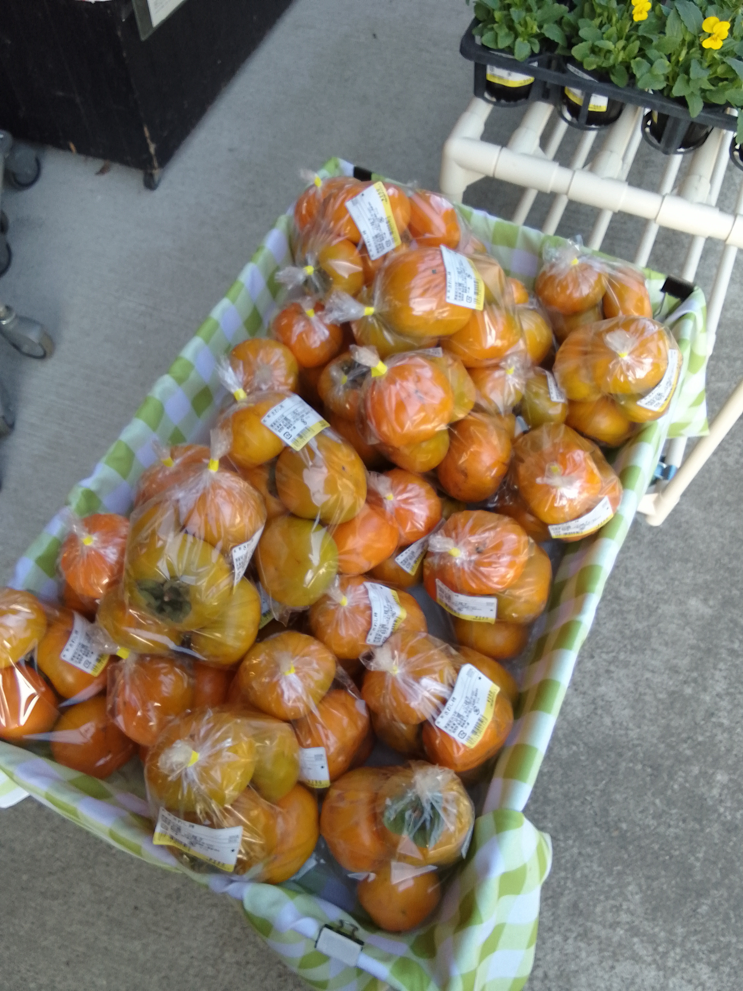 🍊道の駅みかわ今日の野菜たち🍠