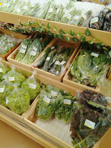 新鮮野菜