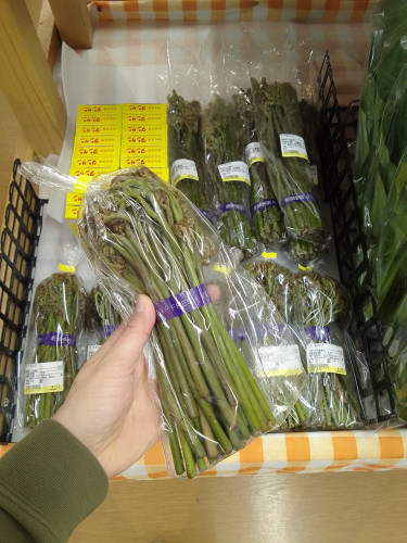 🌿わらび、いたどり、なばな🌿