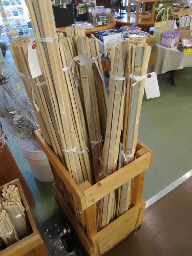 🌱野菜苗と支柱🌱