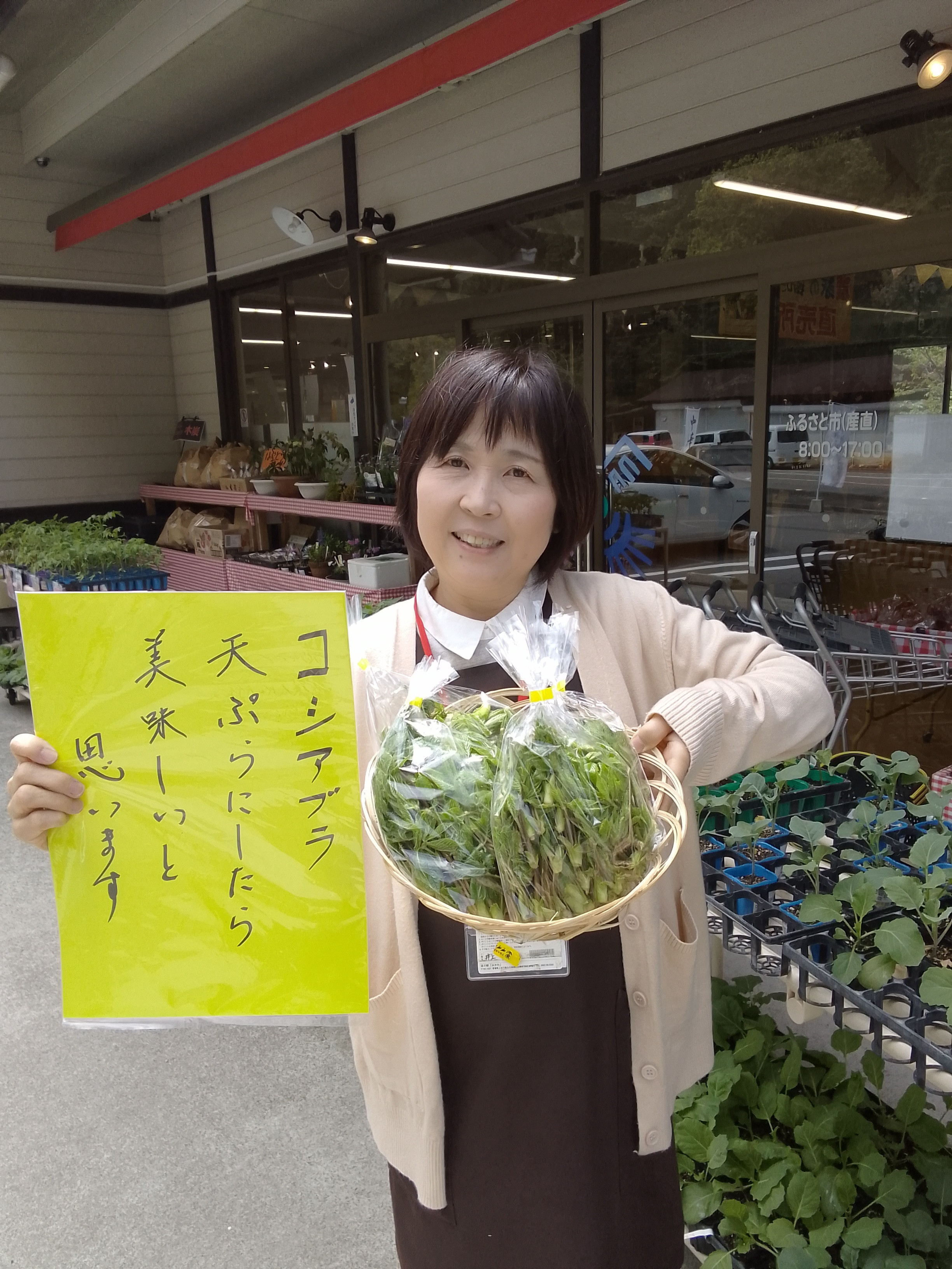 コシアブラ入荷しました❗