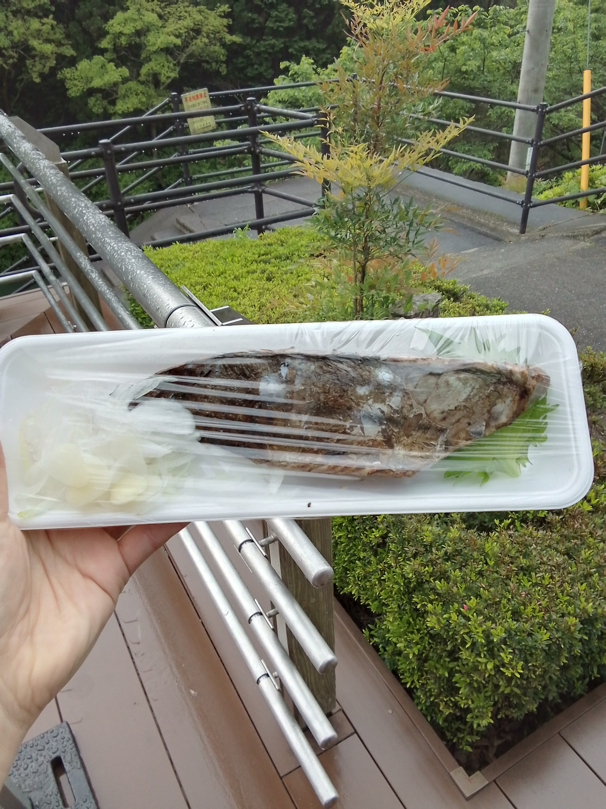 始まりました‼️