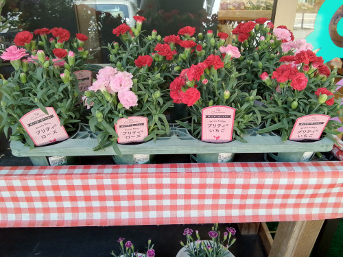 明日は母の日です💐