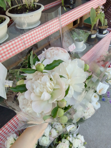 切り花入荷しました🌼