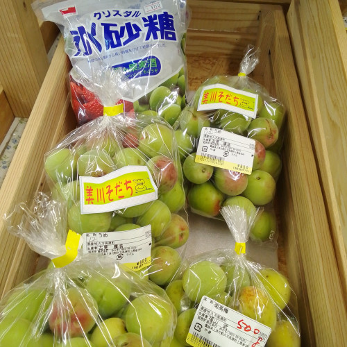 梅入荷しております☺️