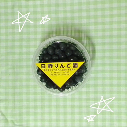 ブルーベリー🫐✨