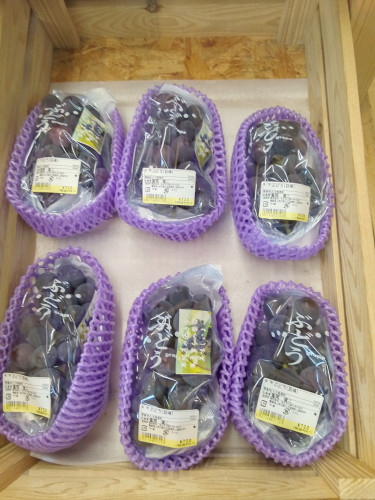 果物の季節🍎🍇