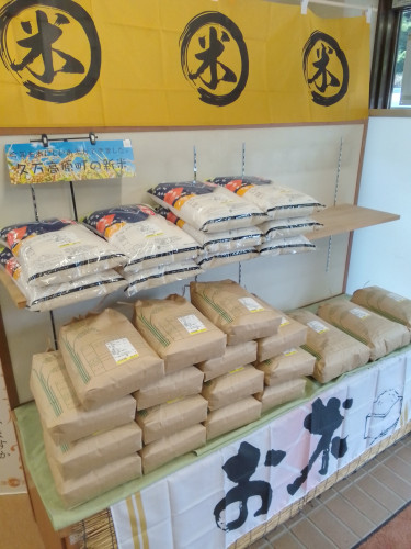 🍚新米入荷🍚