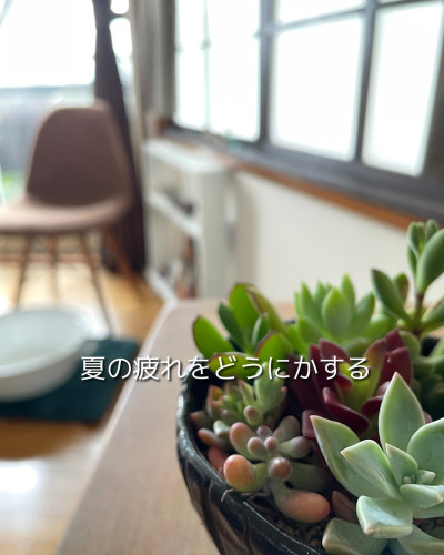 photo-output - 2026-07-14T203144.084.JPEG