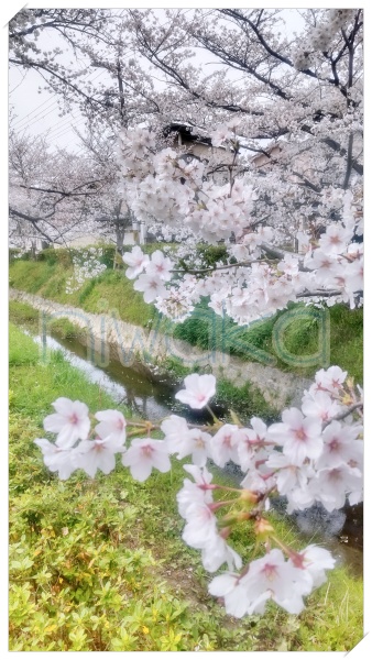 格別な季節