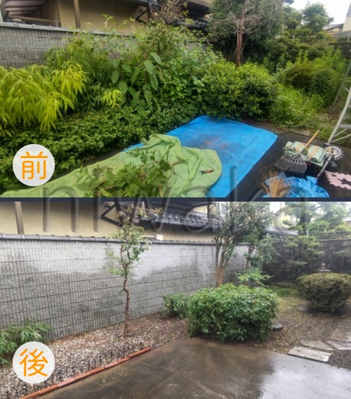 🌱お庭の手入れ