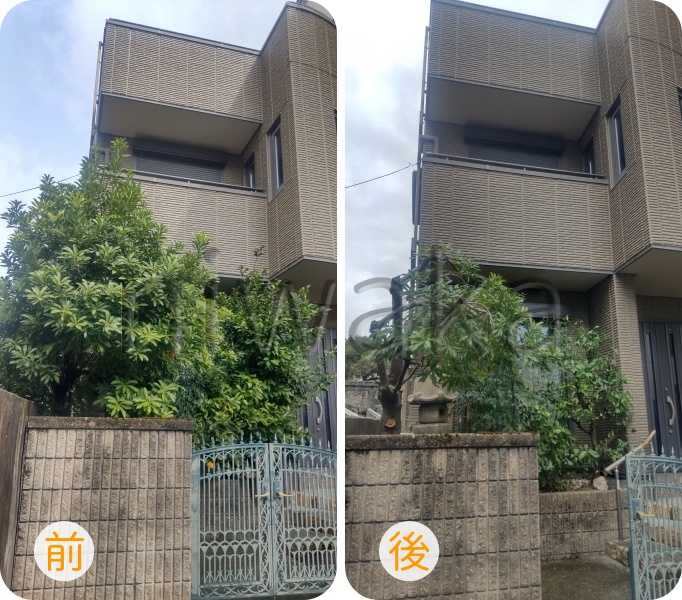 剪定・今年も酷暑にご注意を！