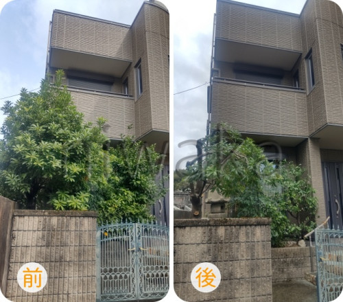 今年も酷暑にご注意を！