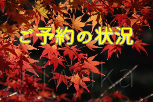ご予約状況